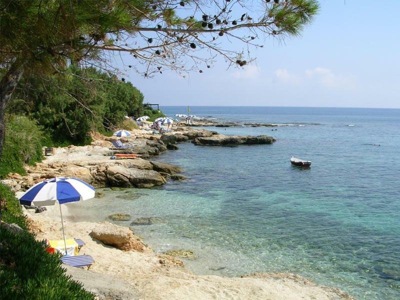 Villa Saradari ヘルソニソス エクステリア 写真